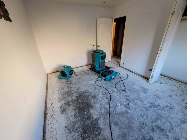 Best Basement water damage restoration  in Pelican Rapids, MN