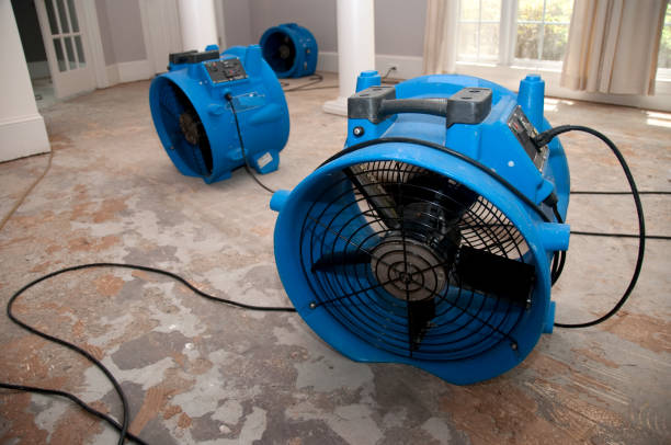 Best Water damage restoration near me  in Pelican Rapids, MN