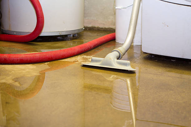 Best Flood restoration services  in Pelican Rapids, MN