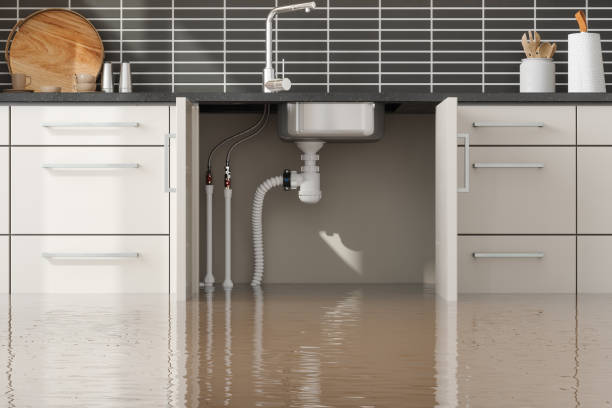 Best Fire Damage Restoration  in Pelican Rapids, MN